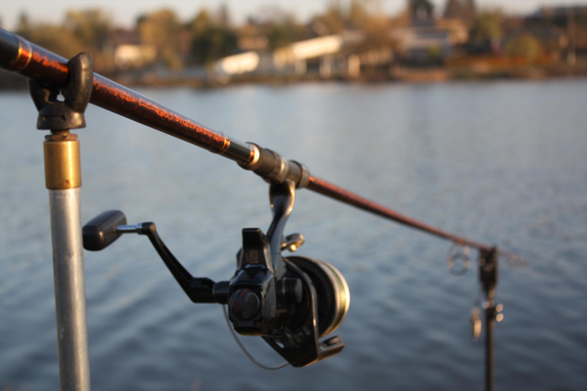 Cupa Iernii MV2 - 2010 - mv2-2010-483.jpg